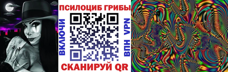 купить закладку  Александровск  Галлюциногенные грибы мухоморы 